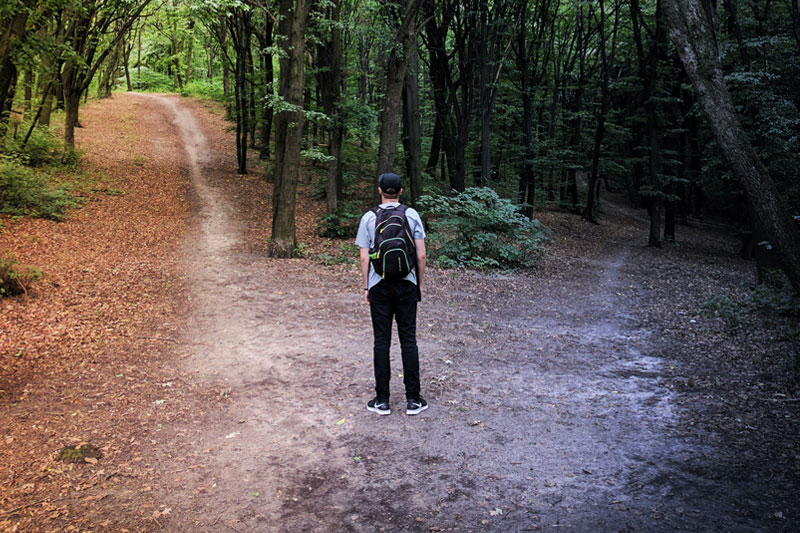 man choosing between two paths into the woods